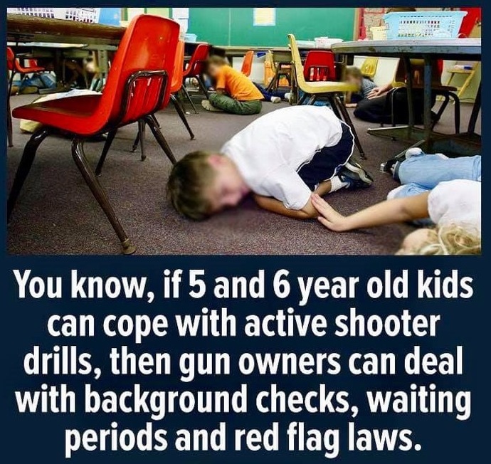 Is it personal responsibility or Assault Rifles that are reason for dead kids?