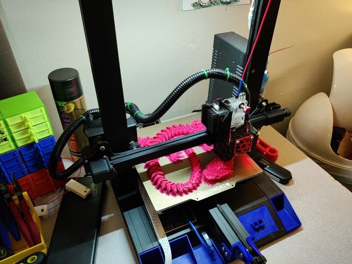 What's a fun fact about yourself?