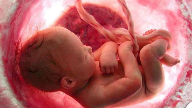 What would happen if the umbilical cord is never cut?