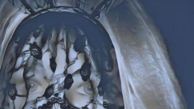 Why do men love mysterious woman?