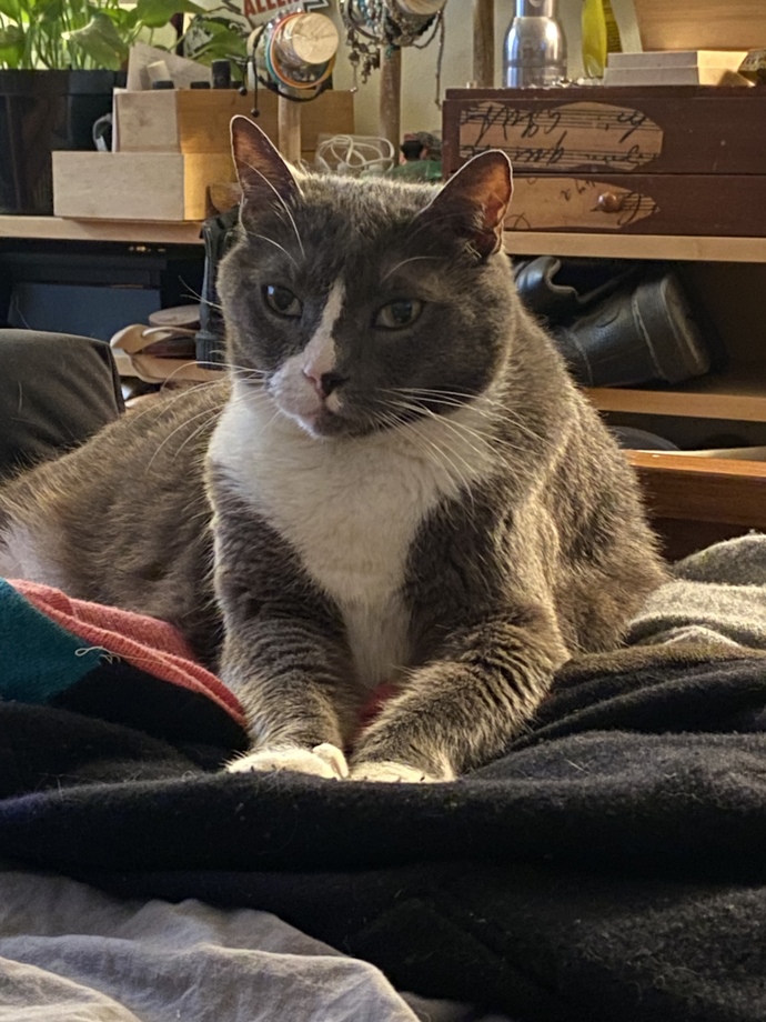 What is your favorite picture of your pet?