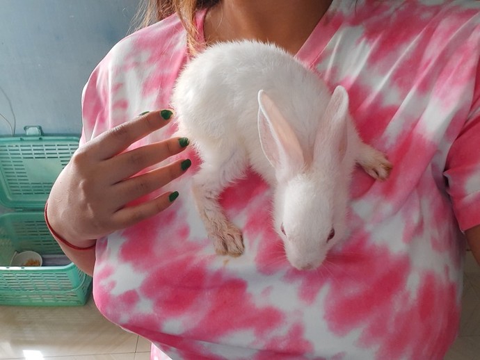 What is your favorite picture of your pet?