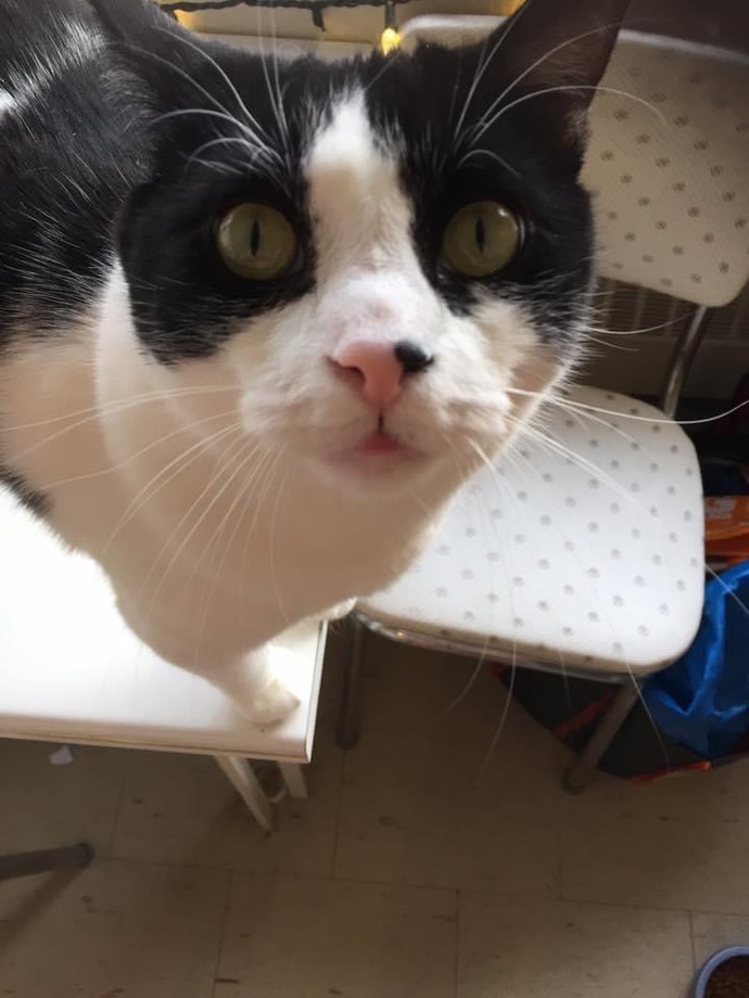 What is your favorite picture of your pet?