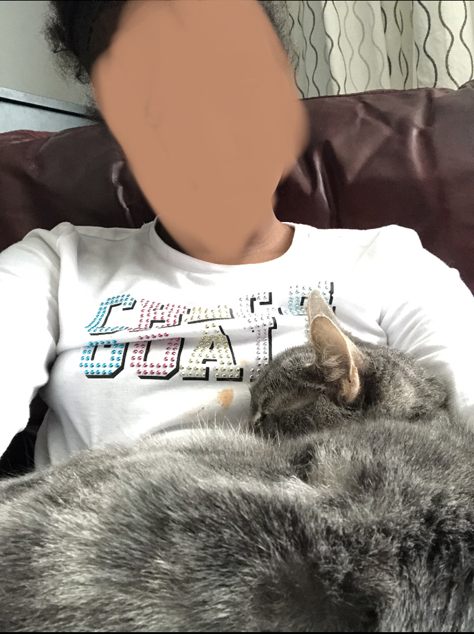my cat sky laying me sleeping