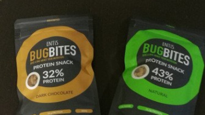 Have you ever eaten or do you eat insects?