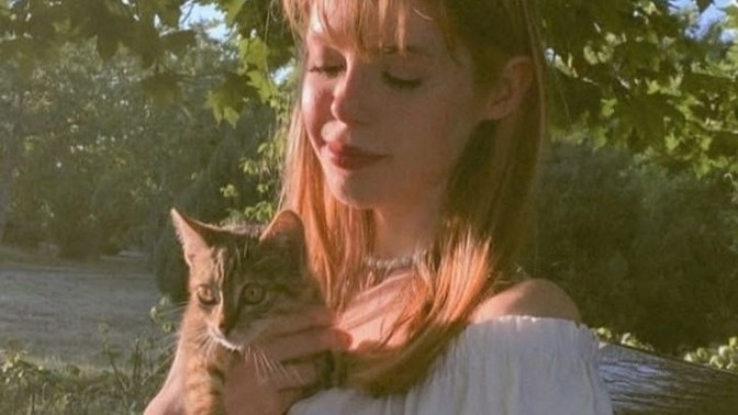 I love cats. are you too?