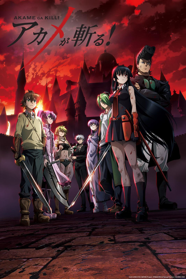Ladies and Gentlemen in terms of anime which sort of anime you prefer to generally watch?