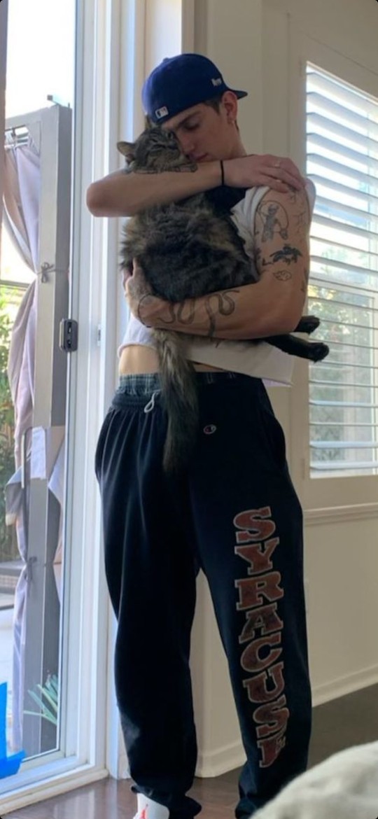 Are guys with pets more attractive?