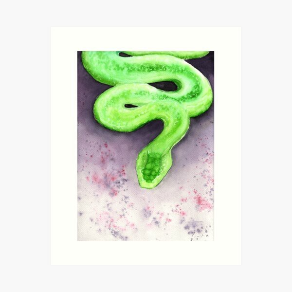 Are you scared of snakes?