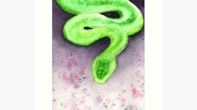 Are you scared of snakes?
