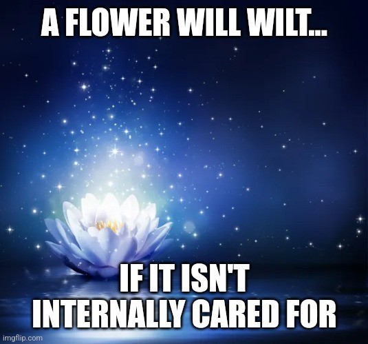 Do you feel like you are a rare type of flower?