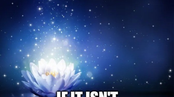 Do you feel like you are a rare type of flower?