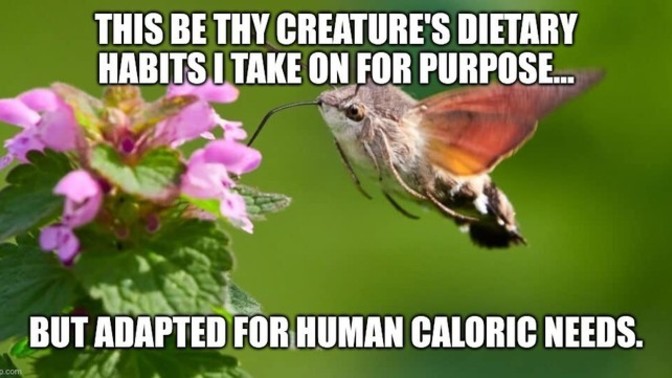 Have you ever taken on another creature's diet, but adapted it to basic human calories for consumption?