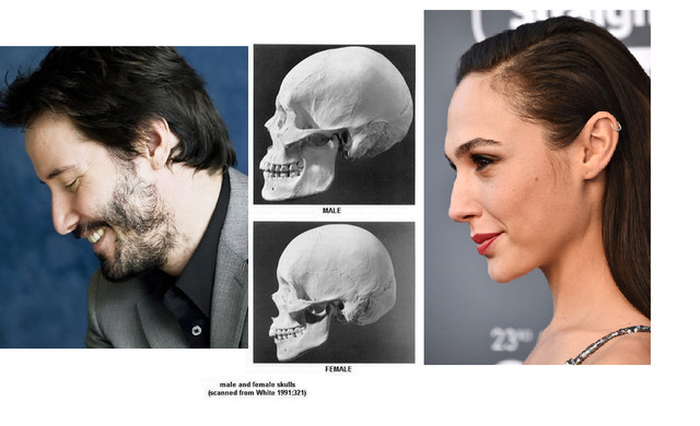 Do you think that Gal Gadot has a very average body?
