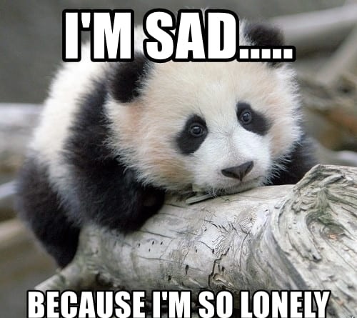 I’m starting to feel hopeless about being alone with no girl ever wanting to be with me romantically. Should I just give up and swim out to sea?