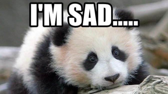 I’m starting to feel hopeless about being alone with no girl ever wanting to be with me romantically. Should I just give up and swim out to sea?