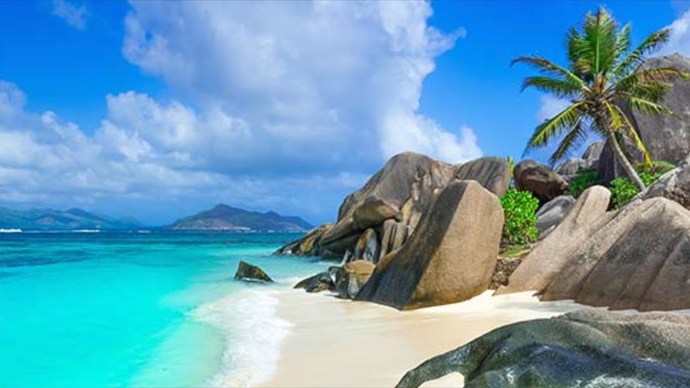 Would you rather visit a tropical paradise or a winter wonderland?
