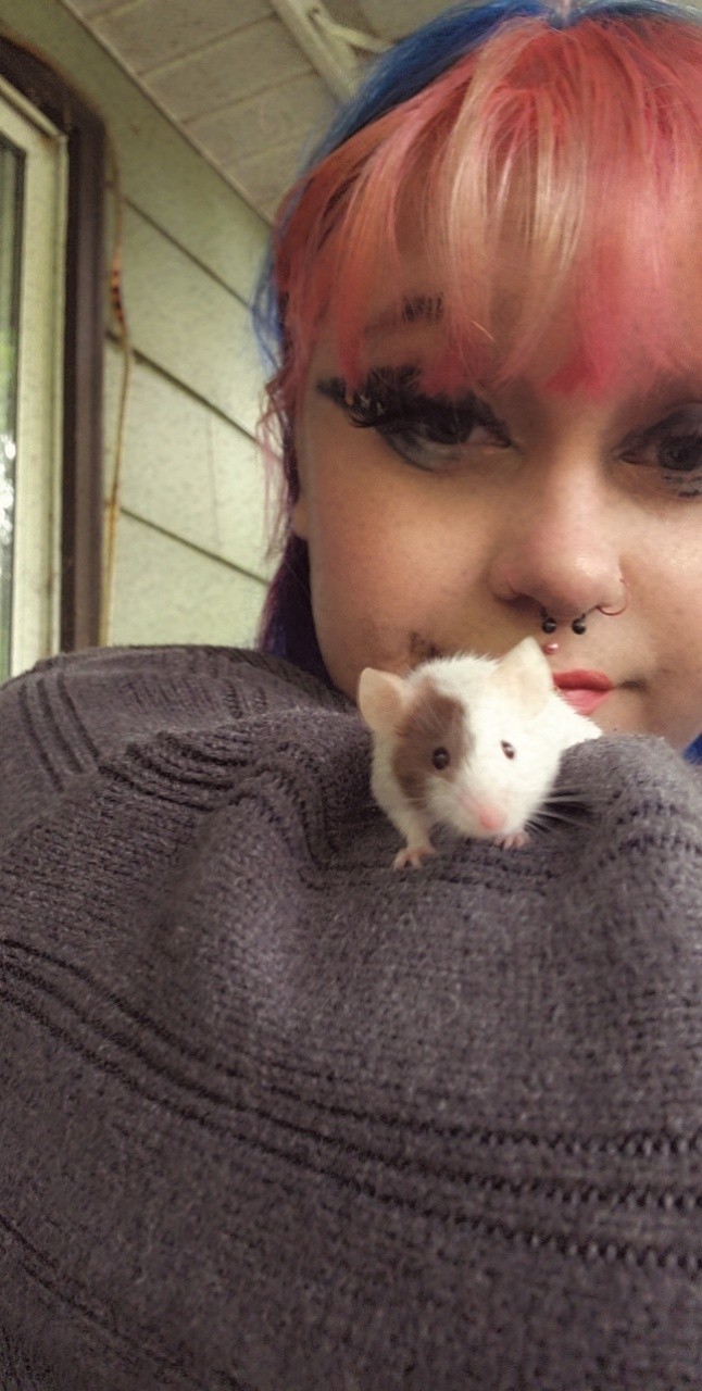 Do you like mice?
