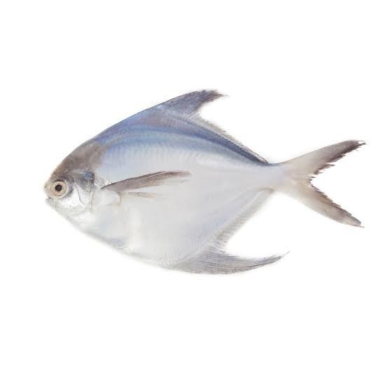 What's your favorite kind of seafood?