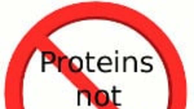 Has anyone ever been on a protein-free diet? Have you tried to rid your body entirely of proteins?
