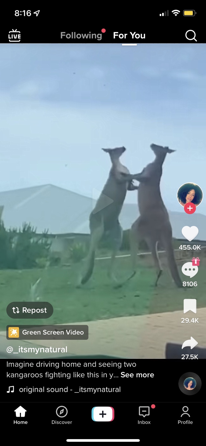 Would you take on a Kangaroo for 2 million dollars?