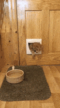 How do you get something large in a small hole?