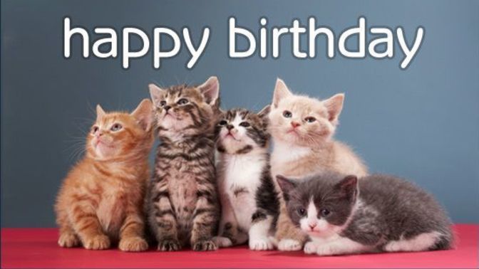 🎉Who are the Leo's & Virgo's of GaG? This is my birthday month and my BIRTHDAY 🎉 WEEK 🥳 How many GaG members are celebrating theirs in Aug? 🥳?