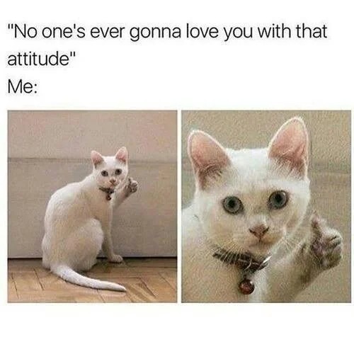 Do you think most peoples romantic love to one another is conditional?