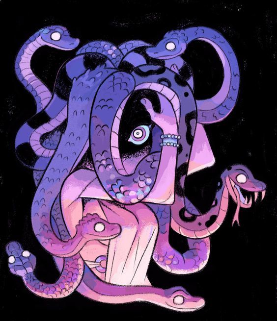 What type of snakes were on medusas head?