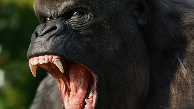 Is it clear to you when you get upset with a person, whether you are angry with them ABOUT something concrete, vs something about THEM makes you mad?