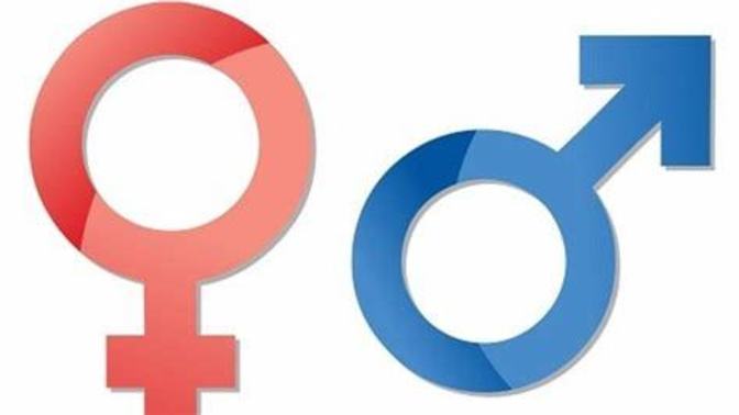 How would you live your life if you were born the opposite gender?