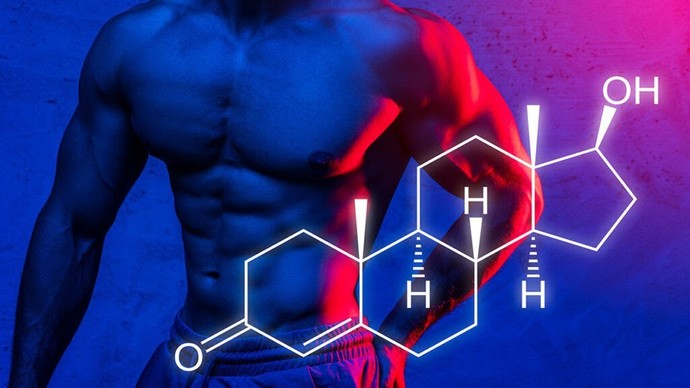 How much testosterone should a man have to build muscle?