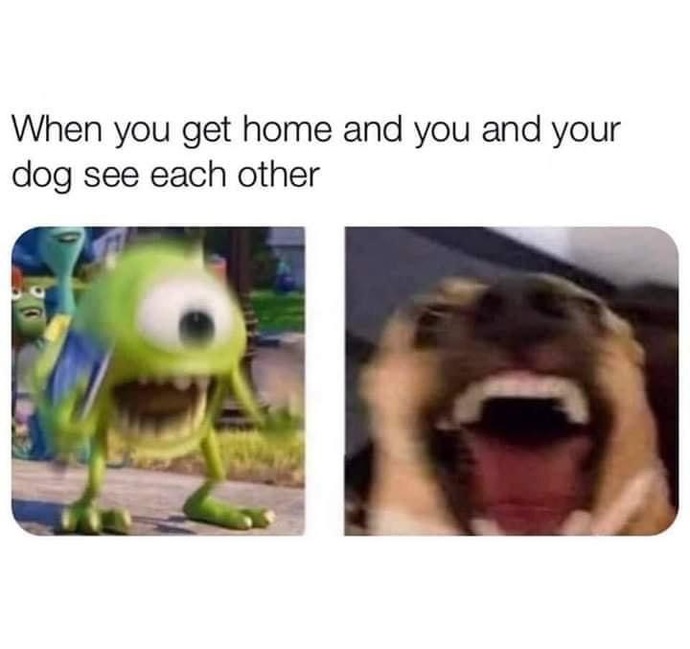 I want this whenever my partner sees me