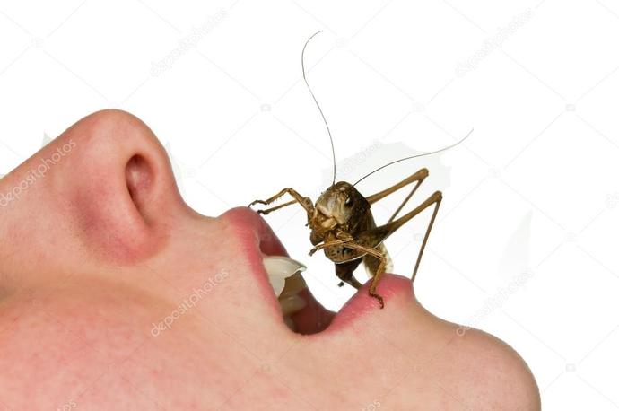 If you could find out how many bugs you have swallowed in your entire life would you want to know?