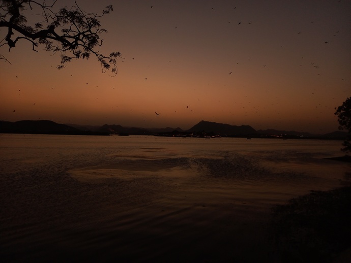 How often do you watch the sunset?