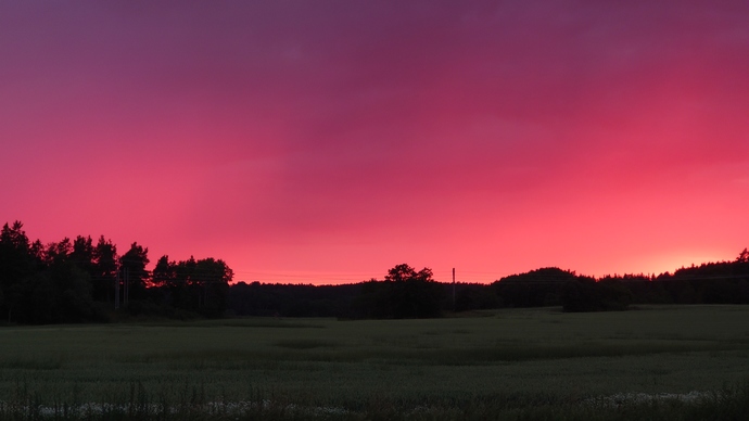 How often do you watch the sunset?