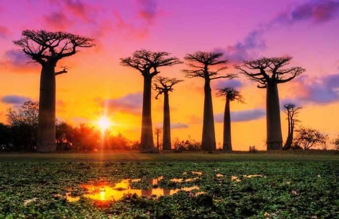 Madagaskar