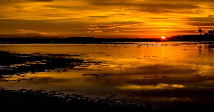 Bolsa Chica Beach , Calif. Wetlands