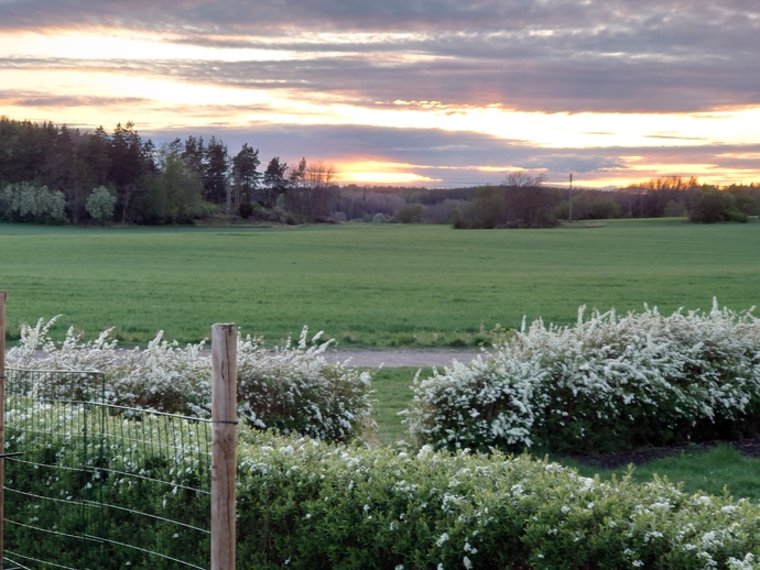How often do you watch the sunset?