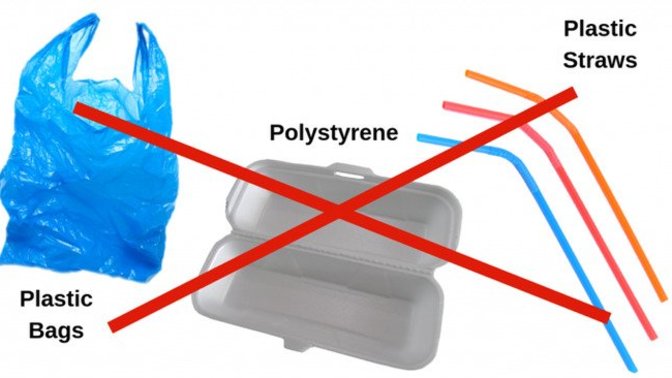 Can we live without plastic?