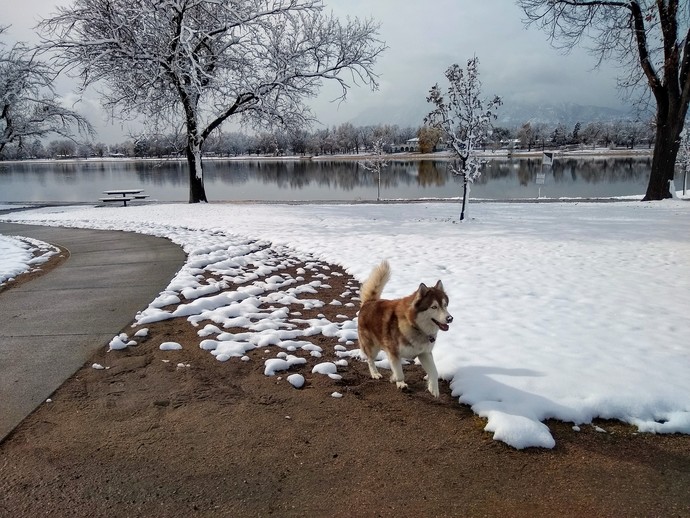 Do you prefer summer or winter?