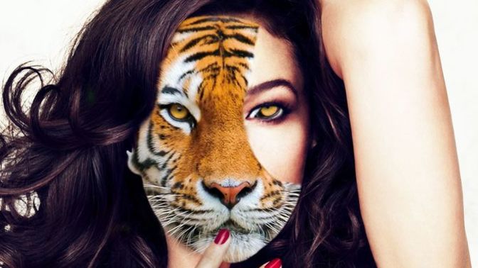 If you were an animal, what would you be and why?