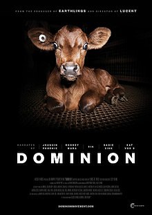 a must watch film