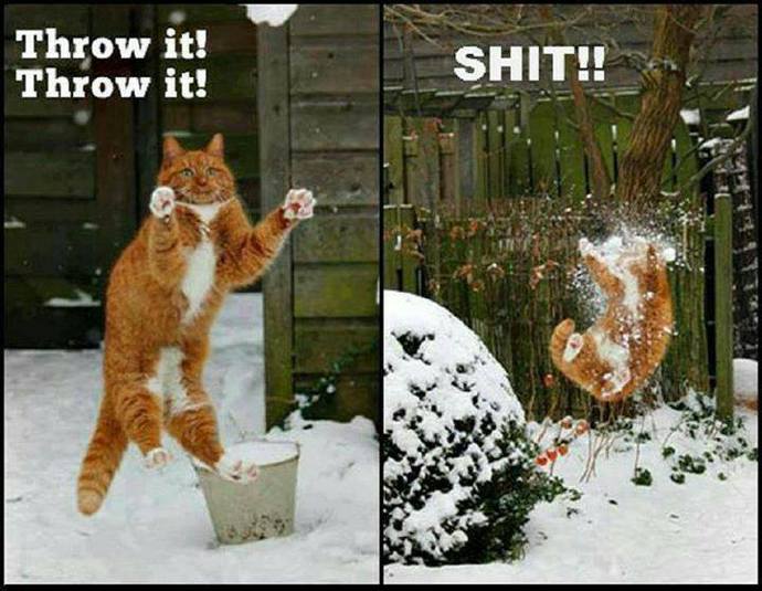 Share the last meme that made you laugh?