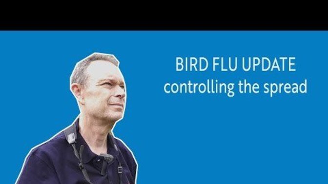 In 2022, are you worried about the rise of Bird Flu?