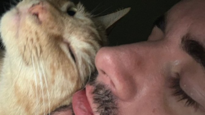 Is a good kitty just a lovable kitty?