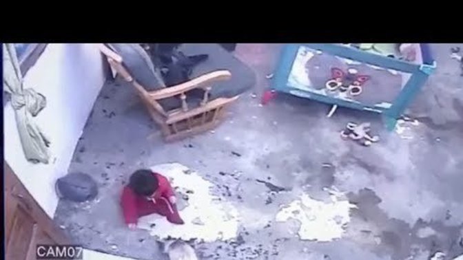 Is this cat a hero?
