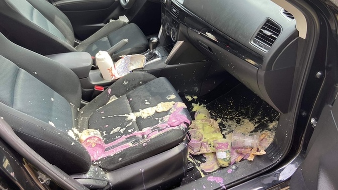 Your partner spills their drinks in your car and the professional detailer confirms that there will be permanent stains. Do you forgive them?