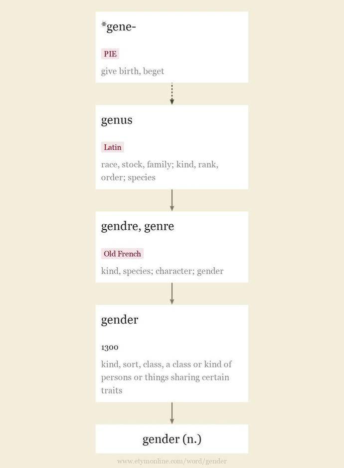 What is a woman?