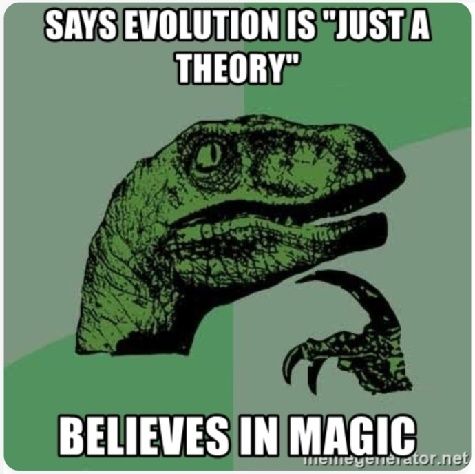 Have you ever met someone that believes in both Evolution and creation?